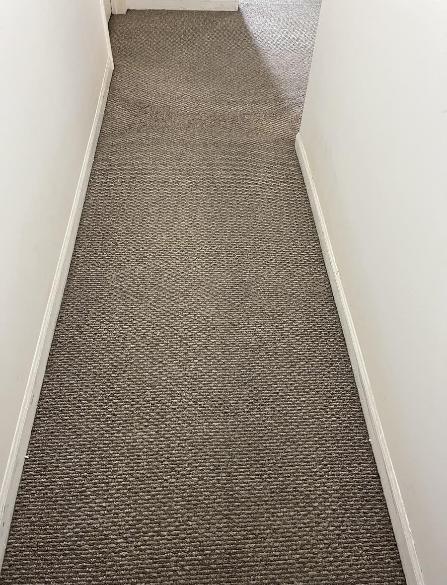 Narrow hallway looking down its length, carpet freshly cleaned wall to wall