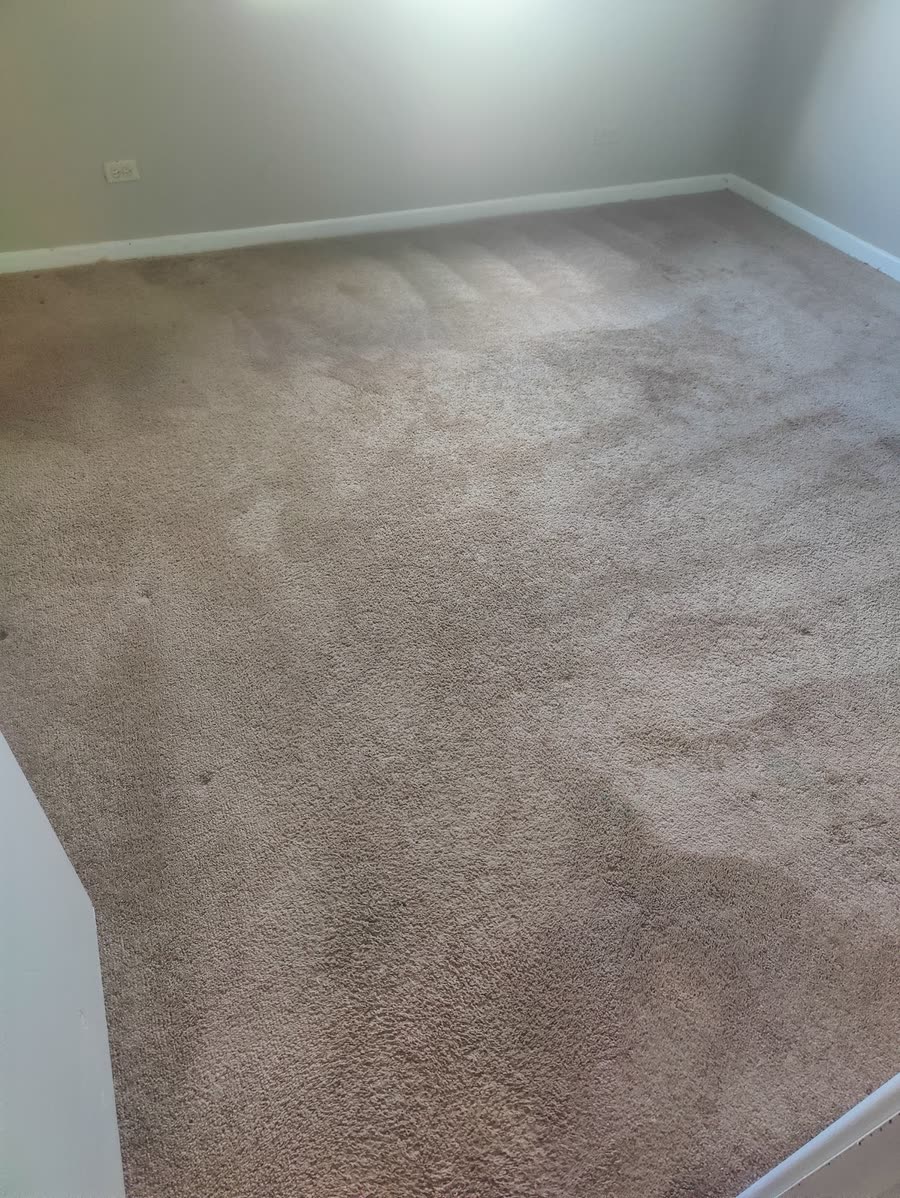 Empty bedroom with freshly cleaned carpet and clean drying lines across the floor