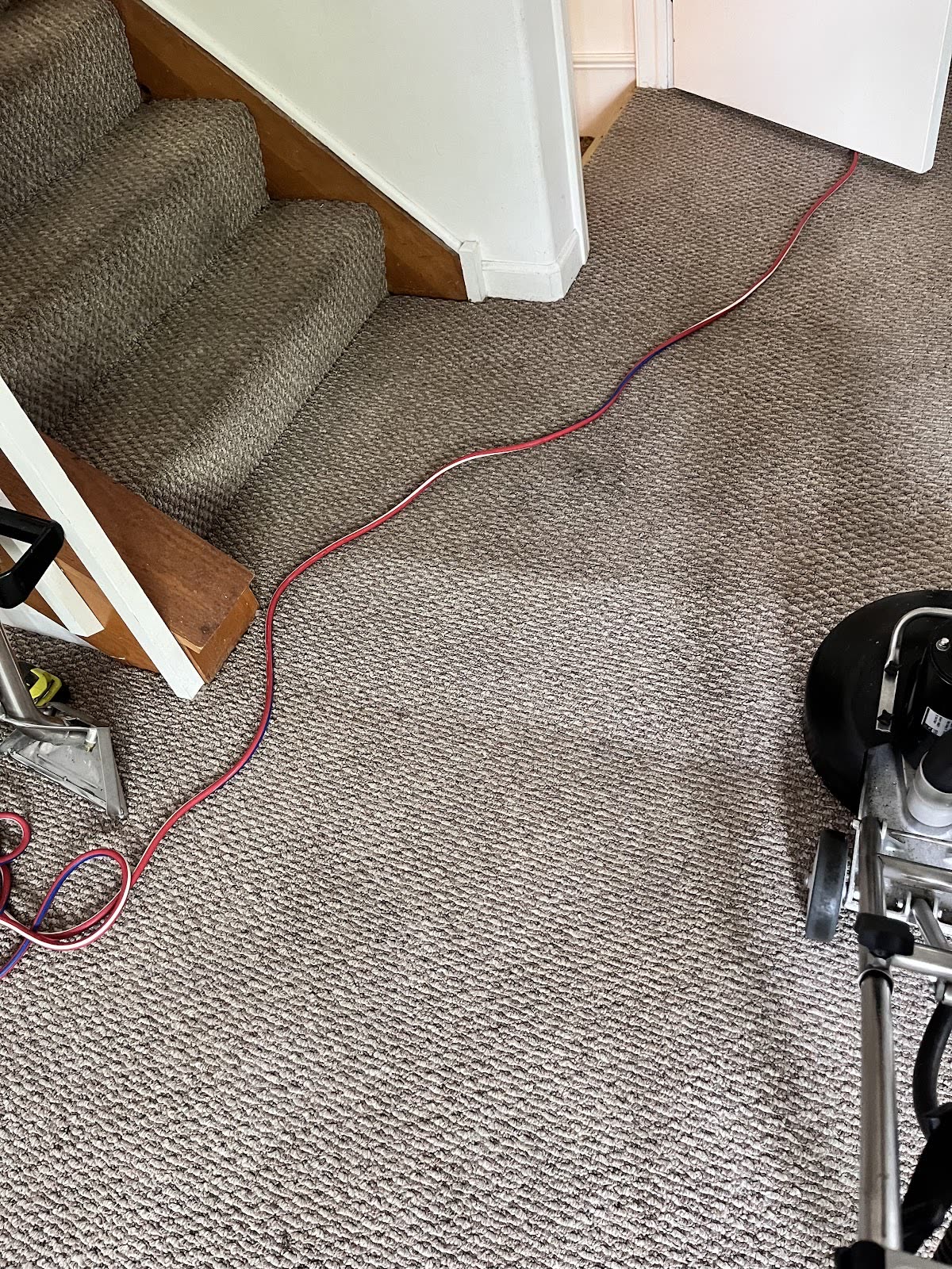 Staircase and landing with freshly cleaned carpet, a red hose running across it and a rotary machine head in frame
